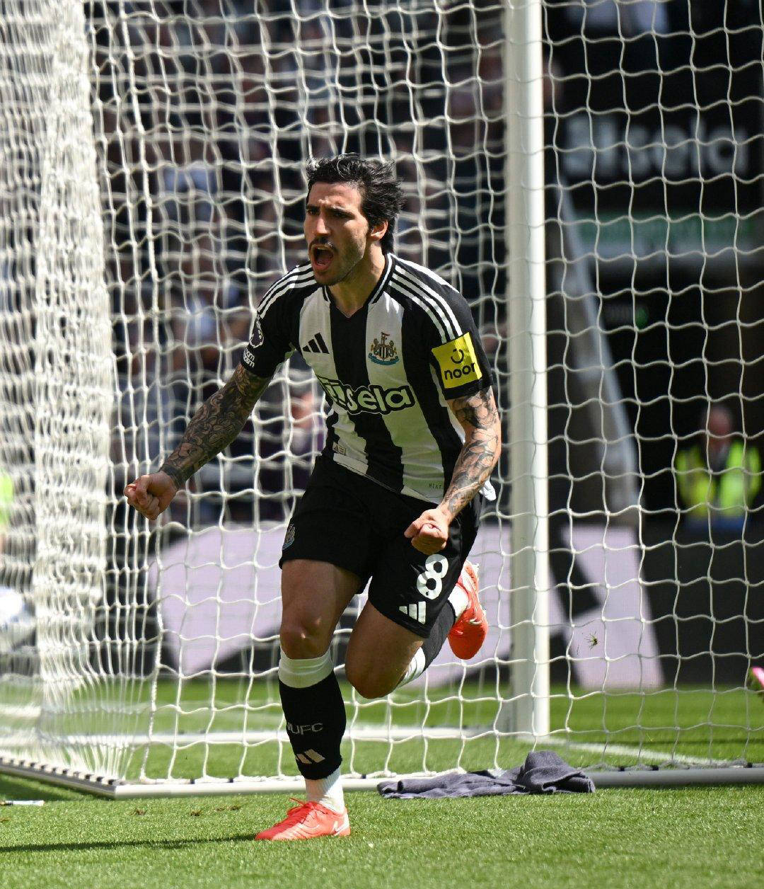 包含伯恩利客场战平纽卡斯尔，积分稳定的词条