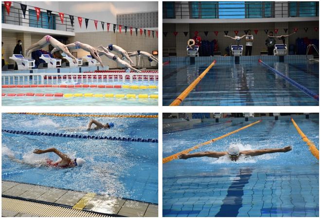 游泳比赛中的劲敌相逢，引发激烈角逐的简单介绍